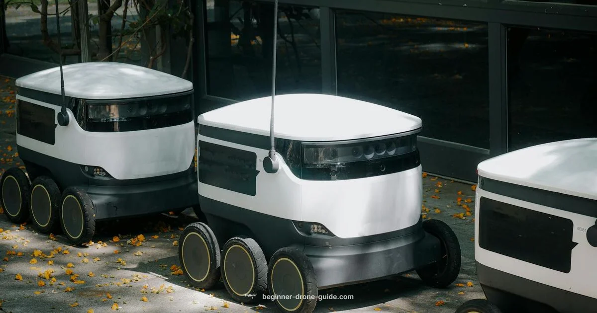 Delivery Cost Guide - Beginner Drone Guide