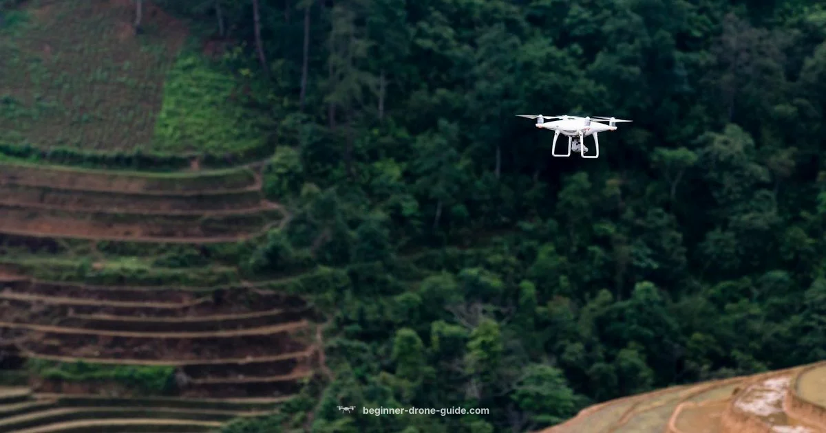 Large Drone Basics - Beginner Drone Guide