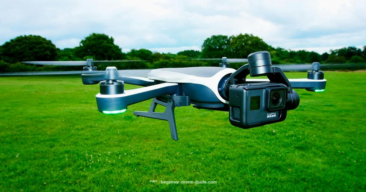 Lost Drone Guide - Beginner Drone Guide