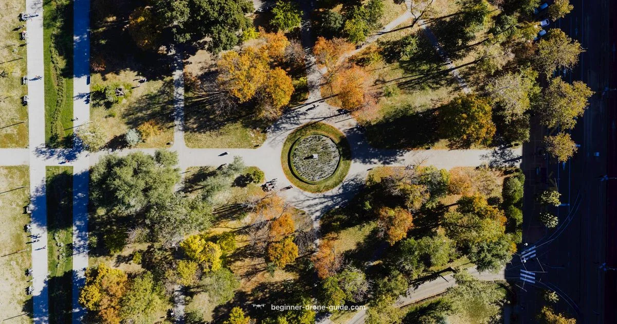 Beginner Micro Drones - Beginner Drone Guide