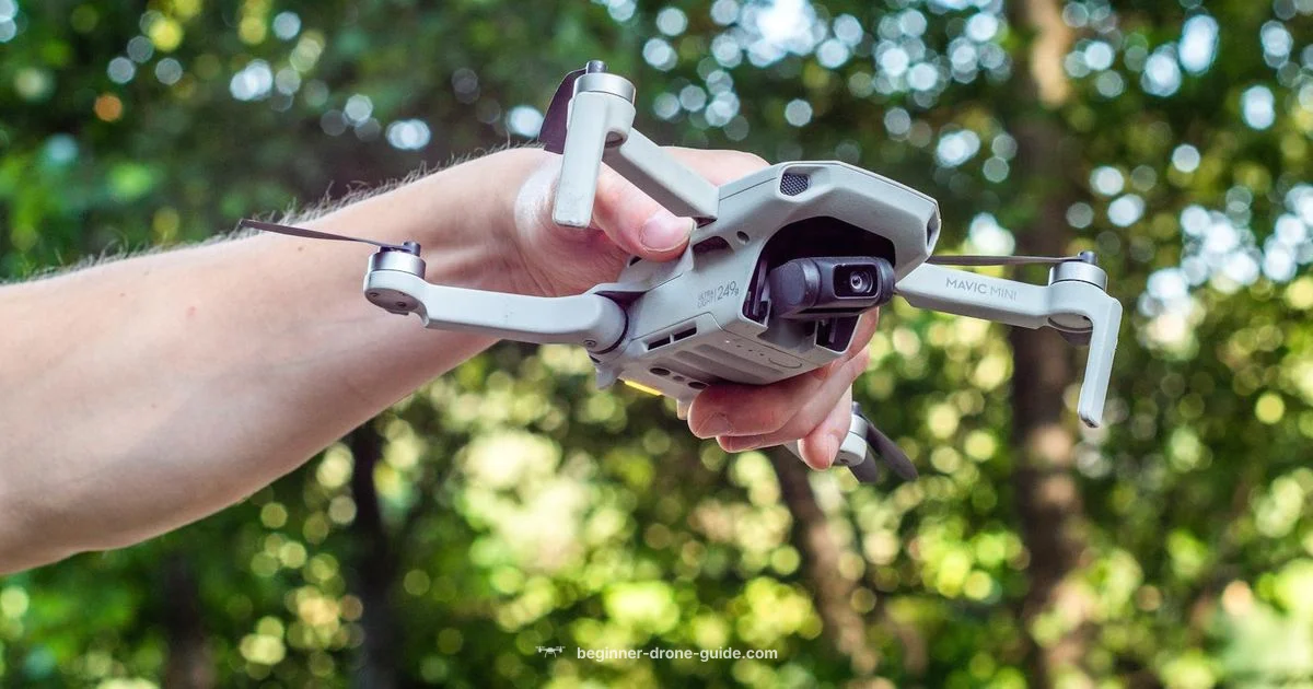 Mini 2 Controller Guide - Beginner Drone Guide