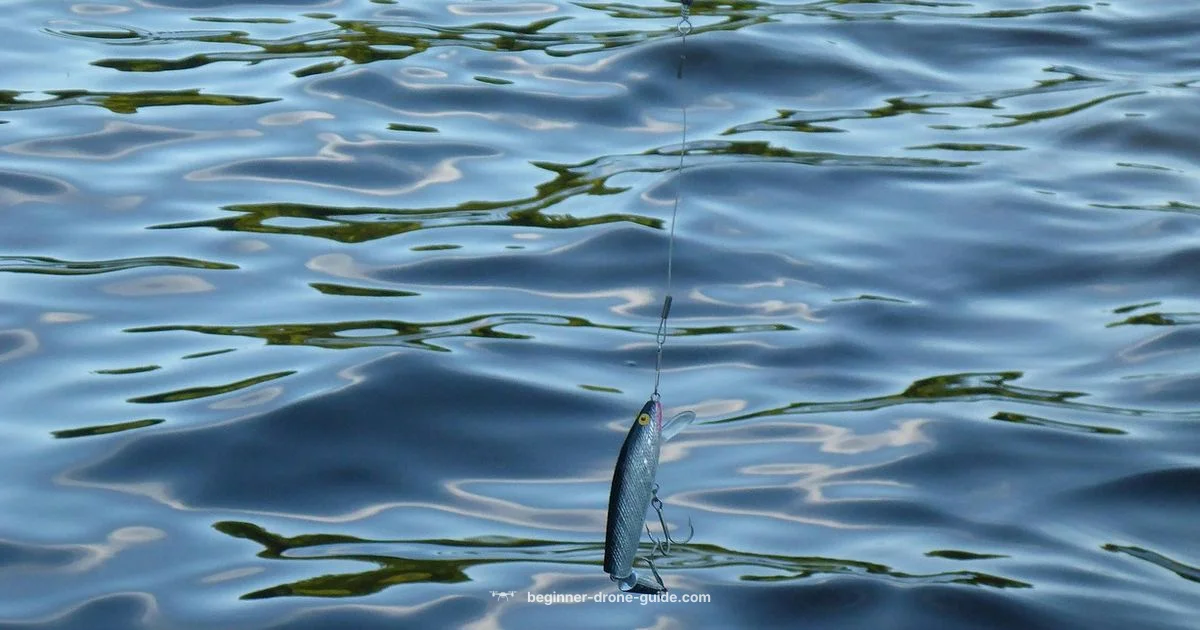 Bait Release Drone - Beginner Drone Guide