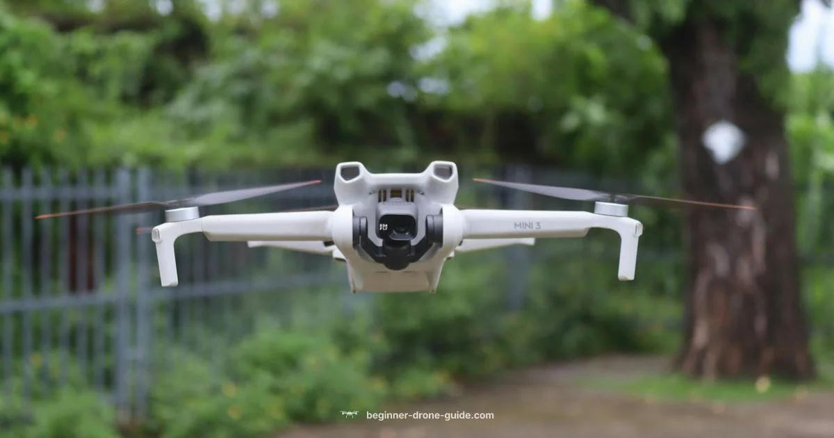 Tree Rescue Guide Tree Rescue Guide - Beginner Drone Guide