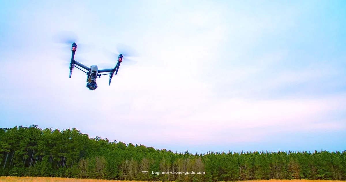 Regulatory Flight Guide - Beginner Drone Guide