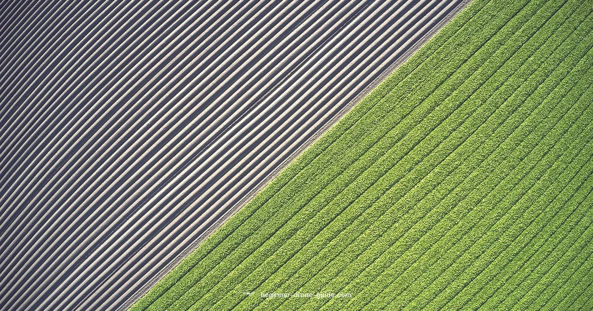 Deer Recovery Guide - Beginner Drone Guide