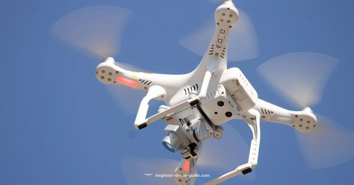 Drone Piloting Basics - Beginner Drone Guide