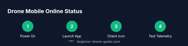 Process diagram showing steps to verify drone mobile online status