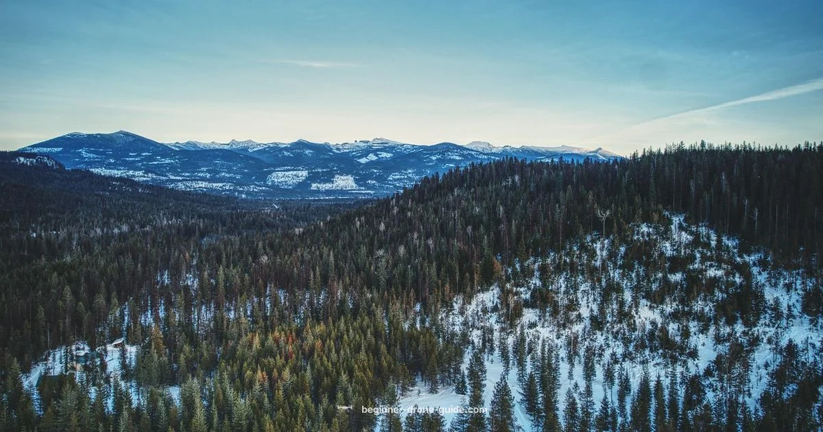 Winter Flight Safety Winter Flight Safety - Beginner Drone Guide