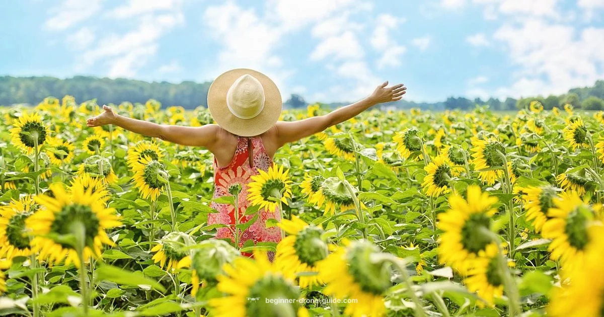 Quality Drones 101 - Beginner Drone Guide