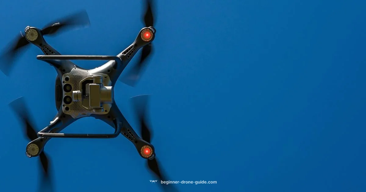 Camera Drones 101 - Beginner Drone Guide