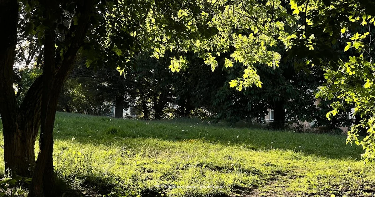 Starter Drone Kit Guide - Beginner Drone Guide