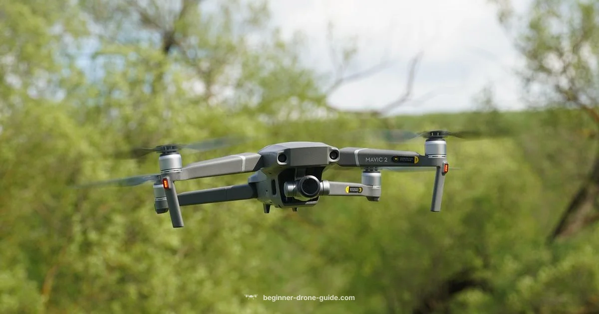 Helicopter-like Noise - Beginner Drone Guide