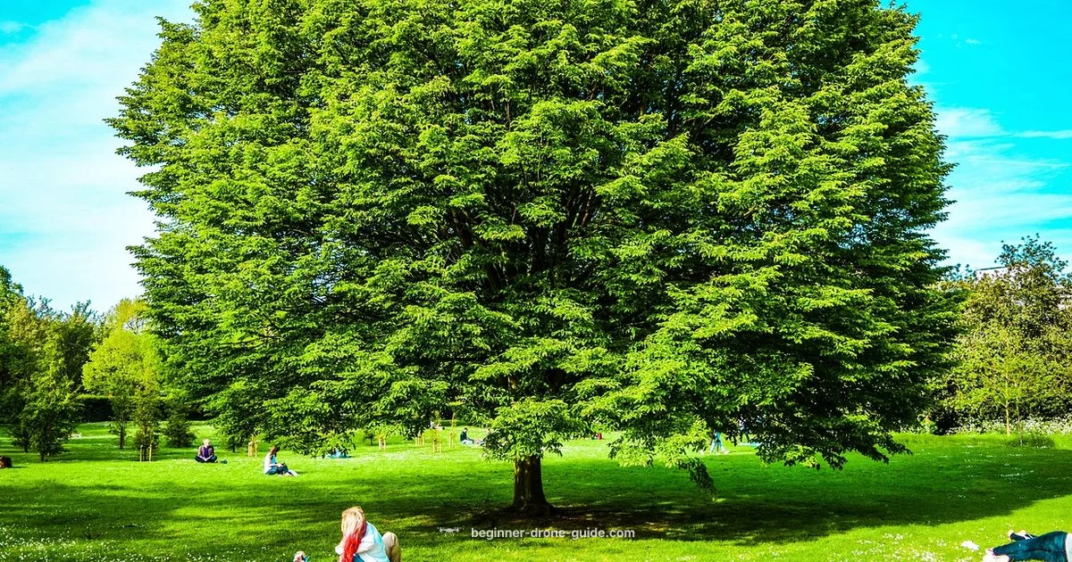 Park Drone Guide Park Drone Guide - Beginner Drone Guide