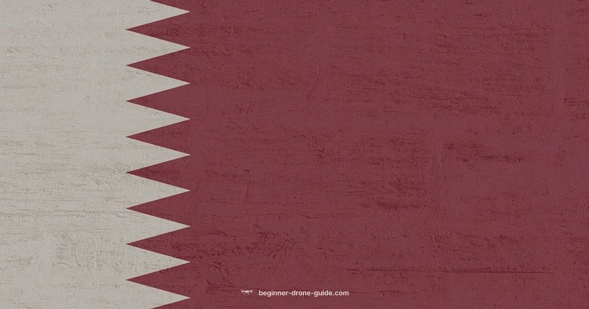 Drone Buying Qatar Drone Buying Qatar - Beginner Drone Guide