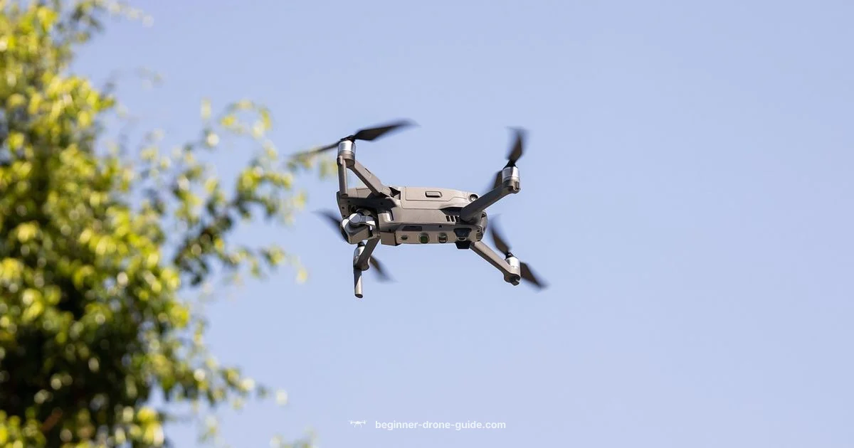 Drone vs UAV Drone vs UAV - Beginner Drone Guide