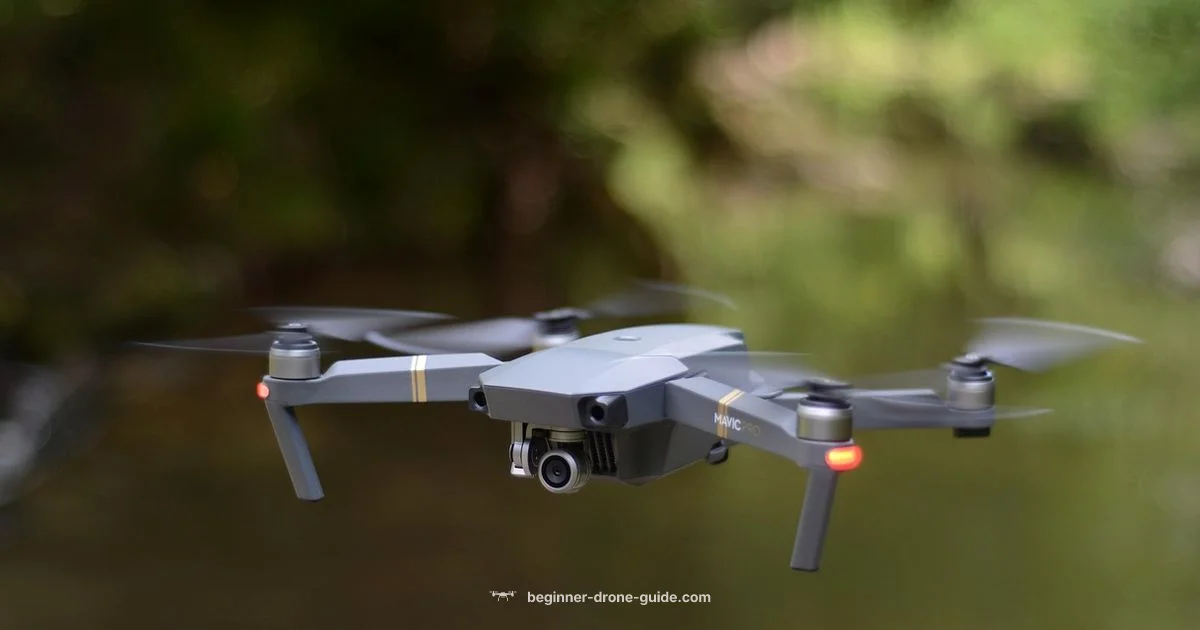 Drone Camera Guide - Beginner Drone Guide