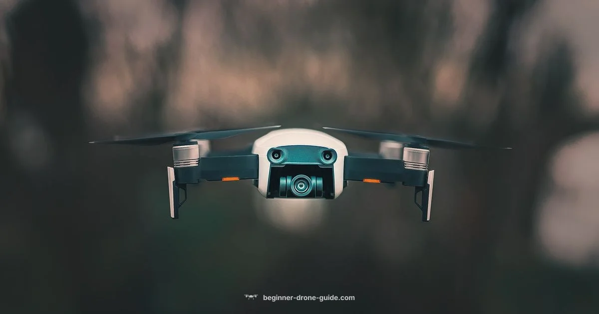 Drone vs Quadcopter Drone vs Quadcopter - Beginner Drone Guide