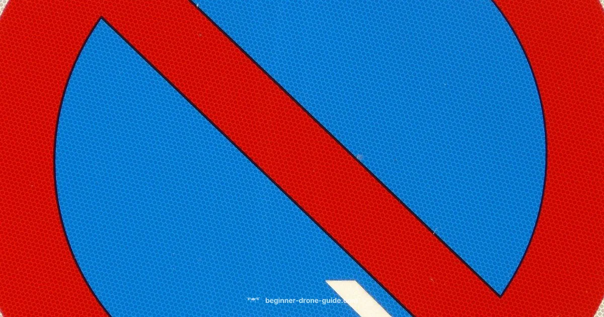 Drone Ban Essentials - Beginner Drone Guide