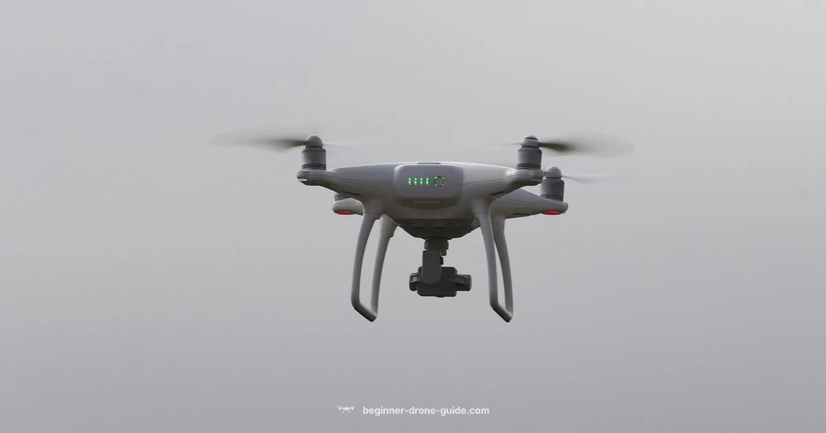 Quad Drone Basics - Beginner Drone Guide