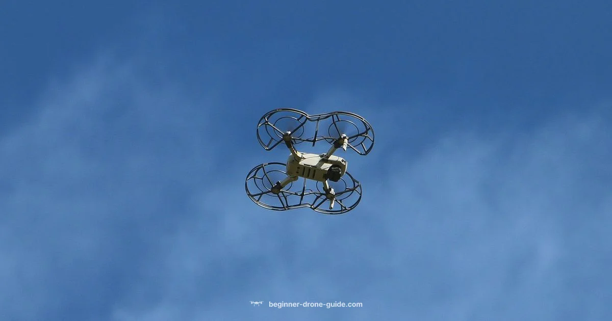 Drone or Plane? Quick Guide - Beginner Drone Guide