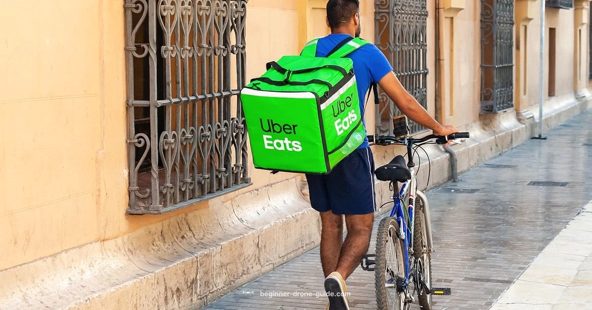 Drone Delivery Costs Drone Delivery Costs - Beginner Drone Guide