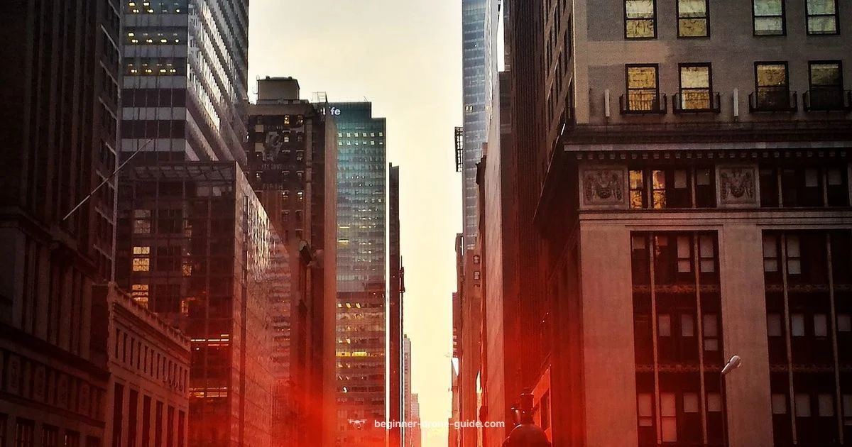 Drone Biz Ideas Drone Biz Ideas - Beginner Drone Guide