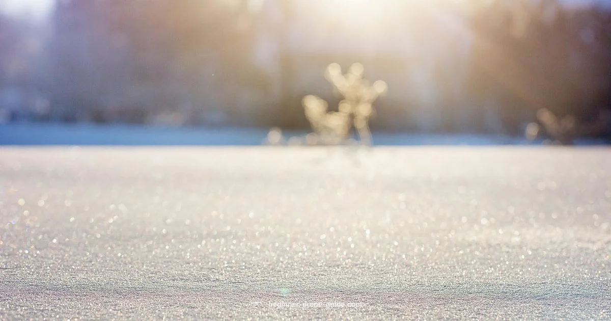 Winter Drone Flying - Beginner Drone Guide