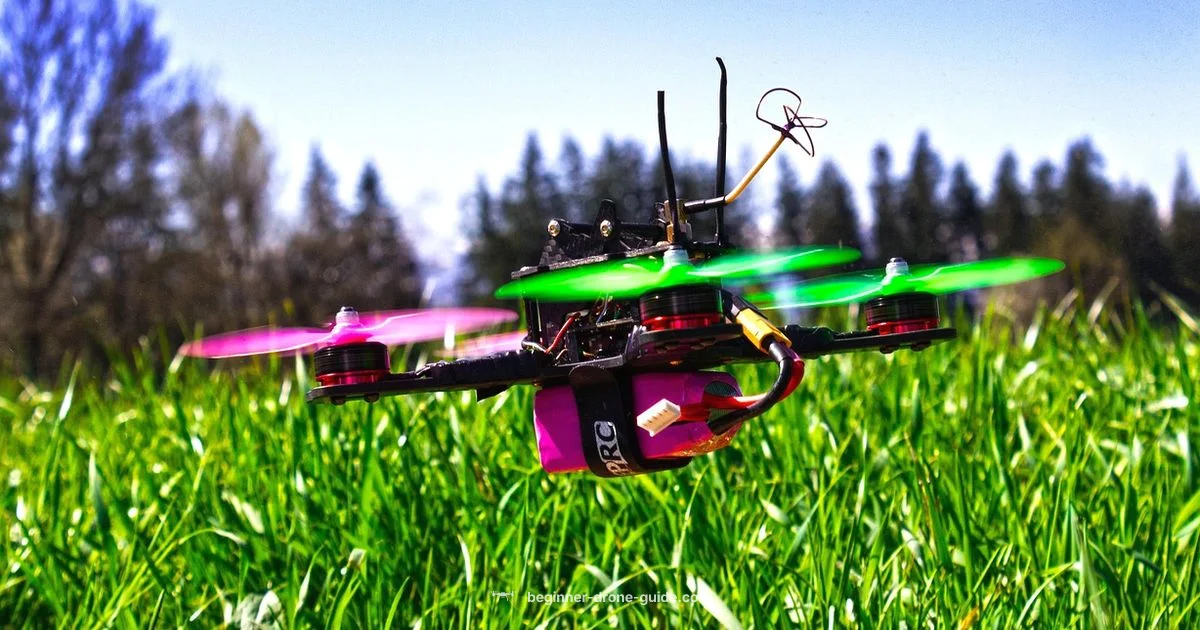 Drone Travel Tips - Beginner Drone Guide