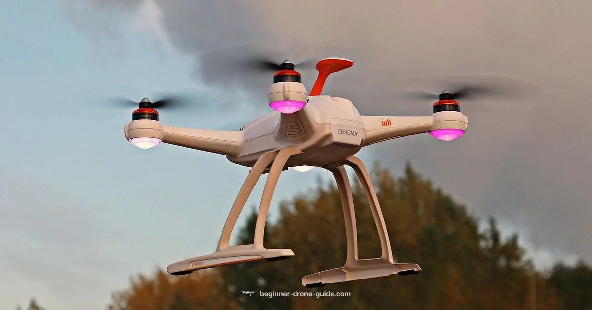 Drones and Bans - Beginner Drone Guide