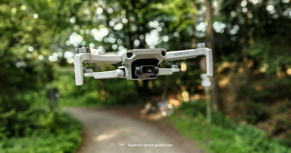 Drone Hunting Guide - Beginner Drone Guide
