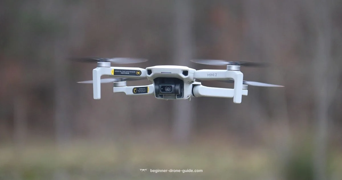 Sold Out DJI Drones Sold Out DJI Drones - Beginner Drone Guide