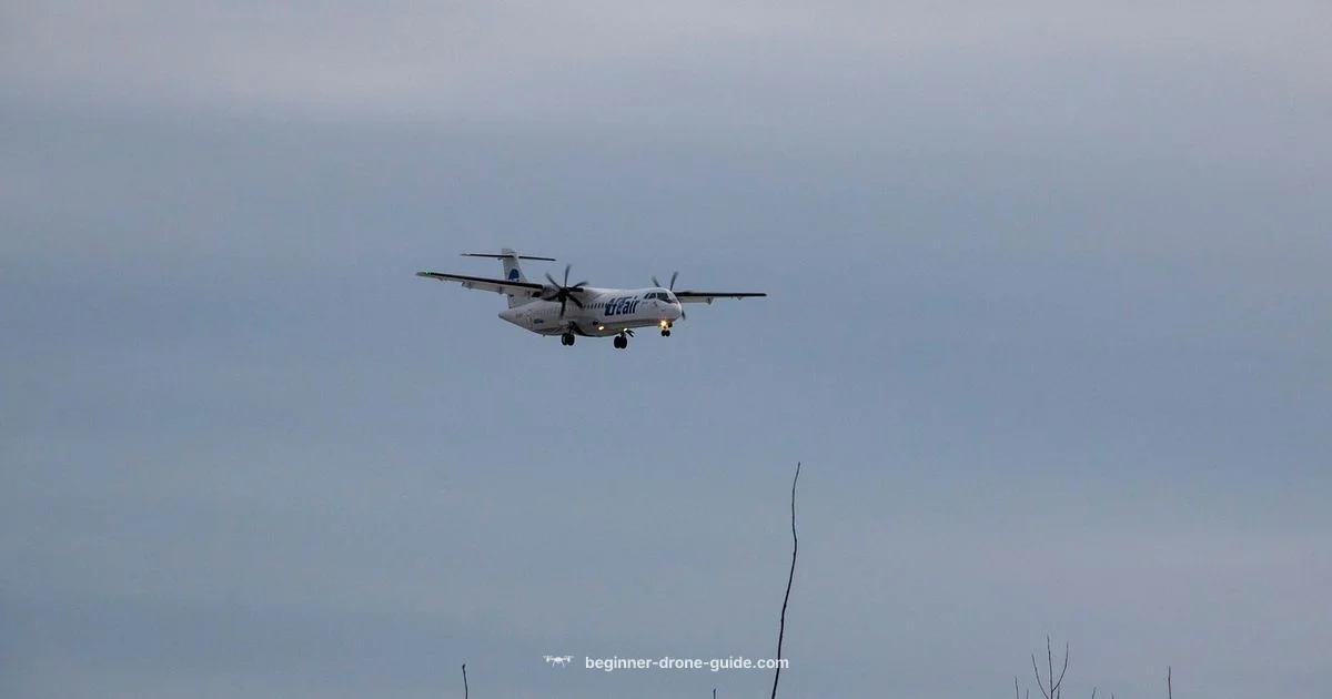 Beginner Drone Basics Beginner Drone Basics - Beginner Drone Guide