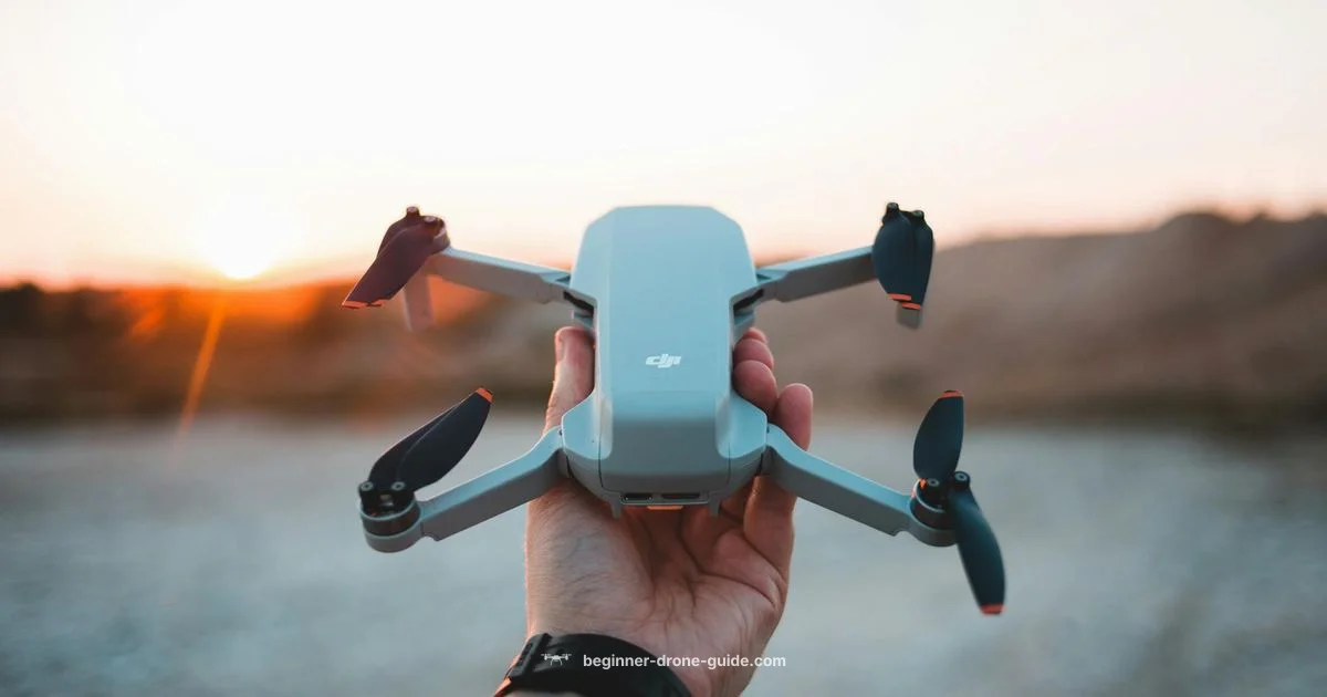 DJI Controller Guide - Beginner Drone Guide