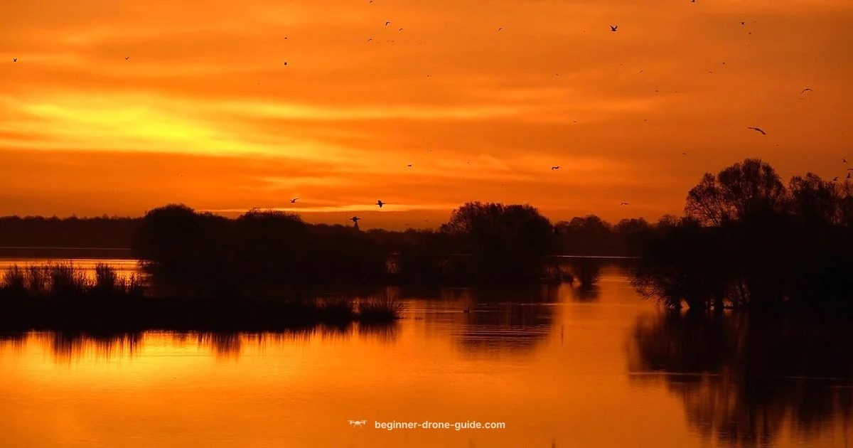 Water Drones 101 - Beginner Drone Guide