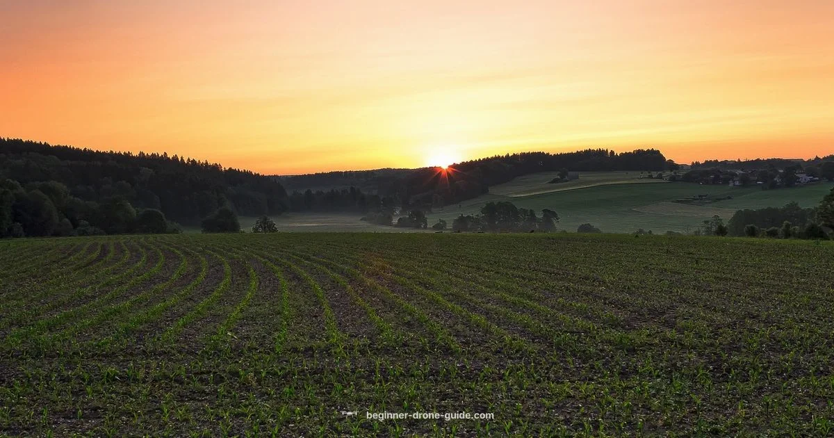 Drones in Agriculture - Beginner Drone Guide