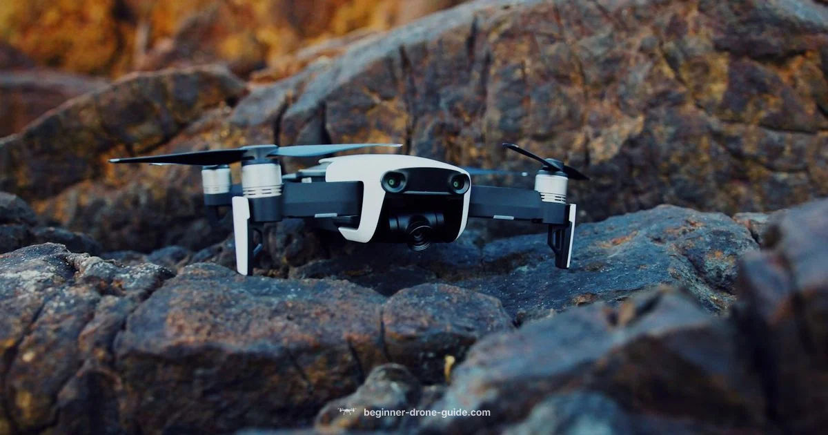 Drone Geofencing Guide - Beginner Drone Guide