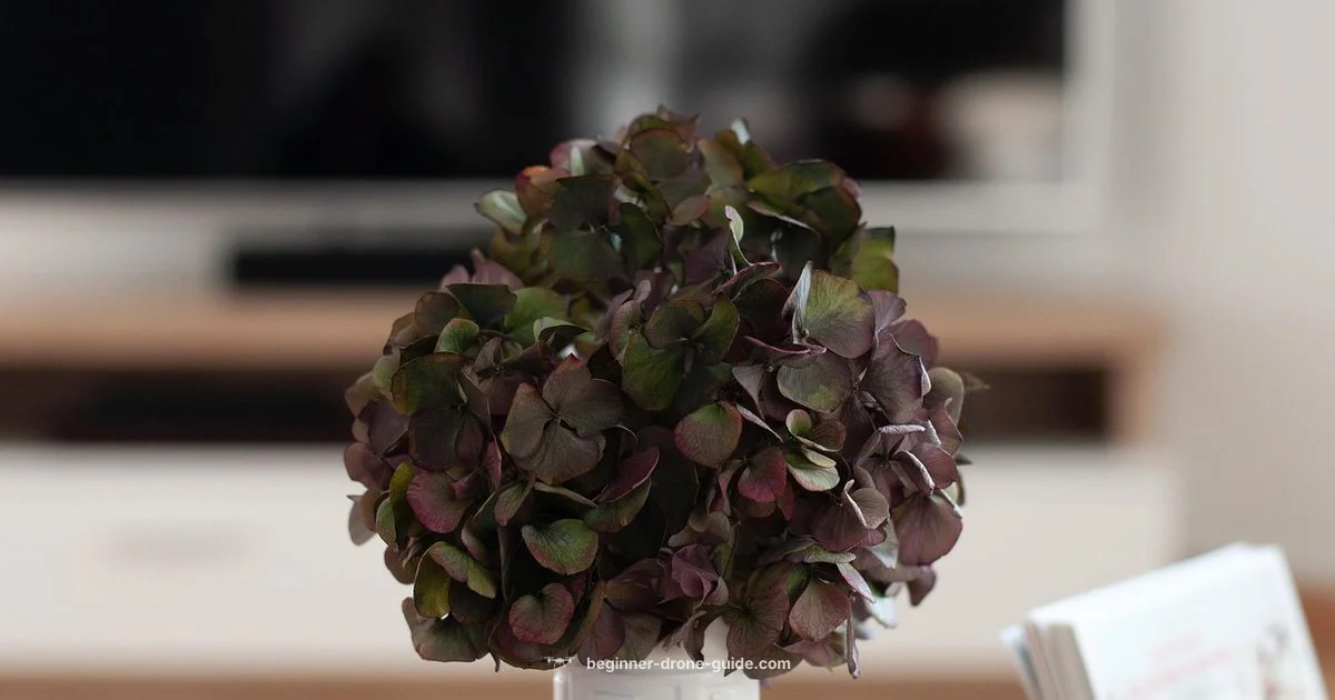 Best Mini Drone Guide - Beginner Drone Guide