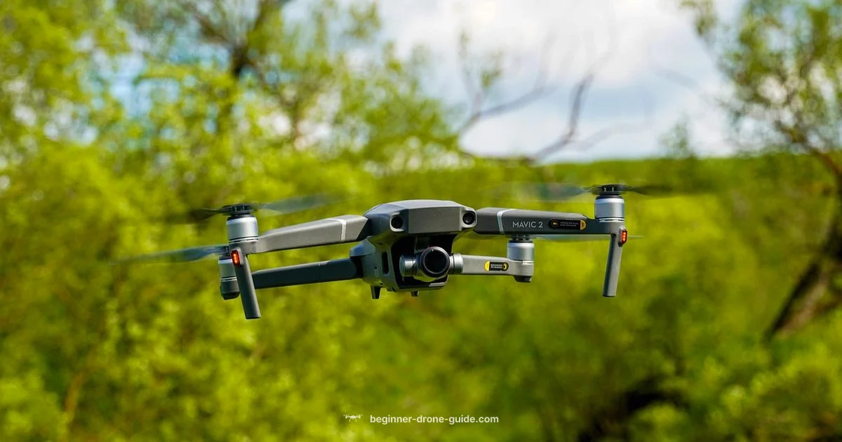 Drone Camera Costs Drone Camera Costs - Beginner Drone Guide