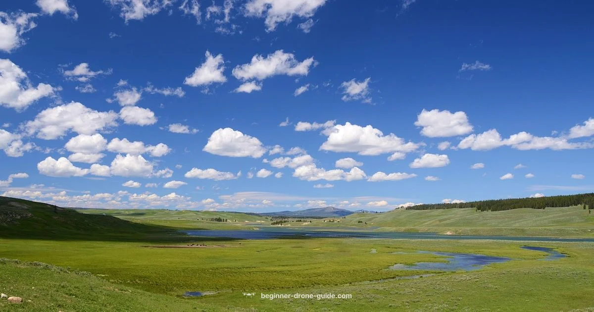 Safe Drone Flight - Beginner Drone Guide