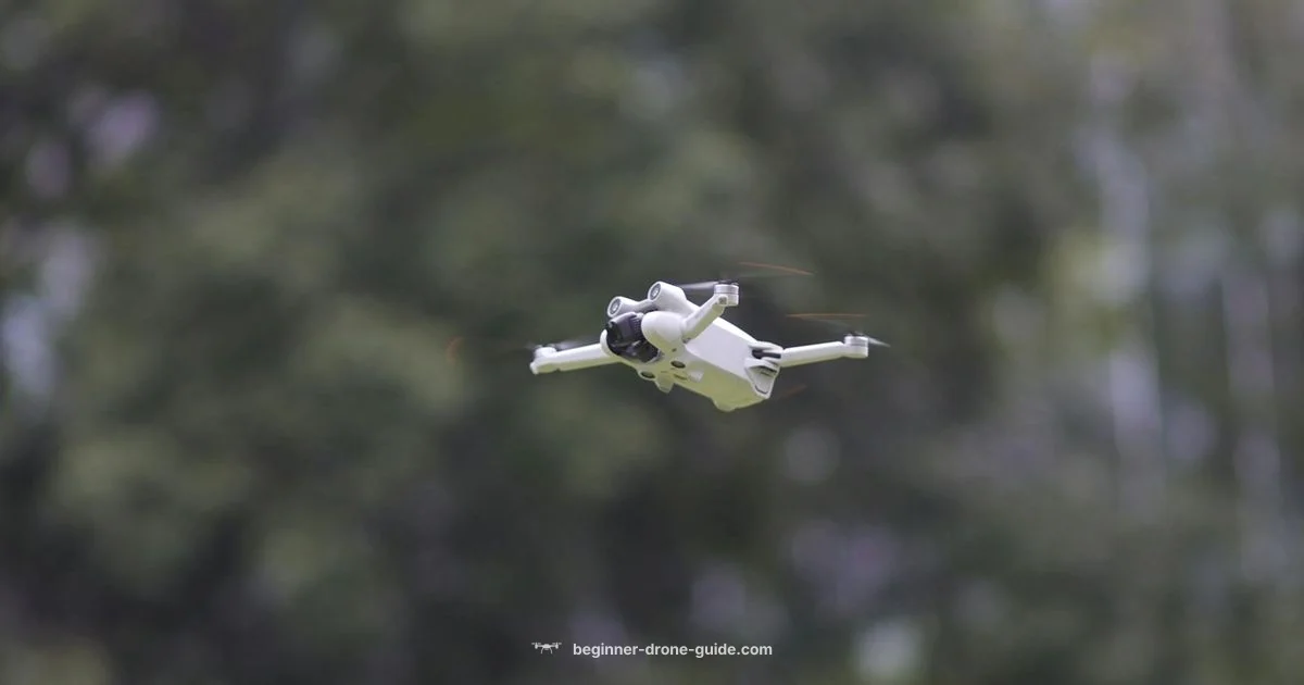 Easy Drones to Fly - Beginner Drone Guide