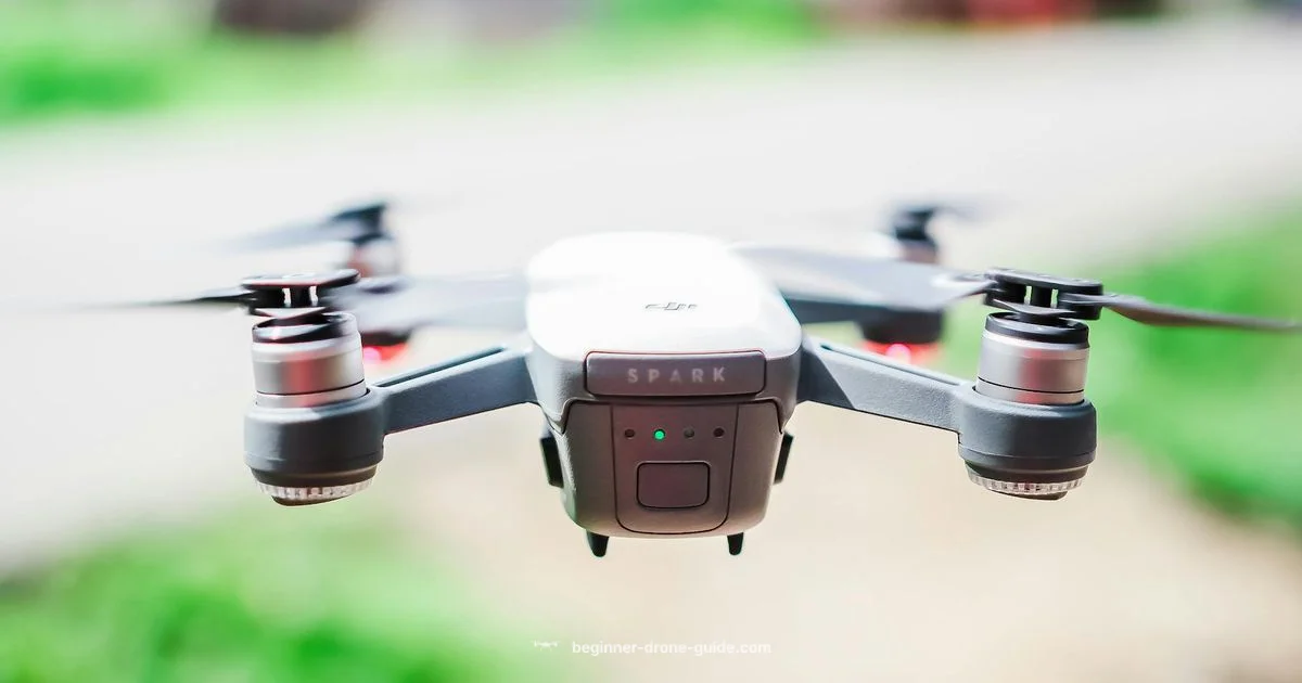 DJI FPV Overview - Beginner Drone Guide