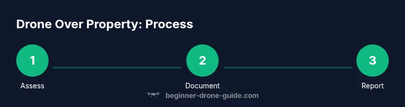 Process: assess, document, and report when a drone is over property