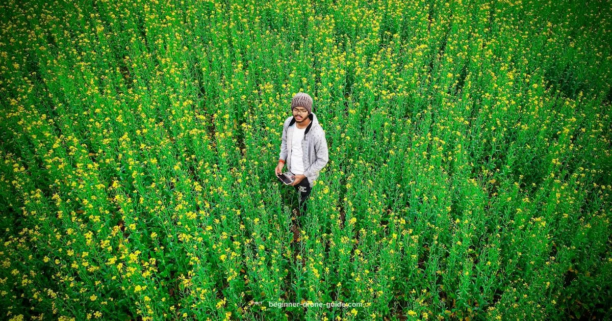 Binding Check - Beginner Drone Guide