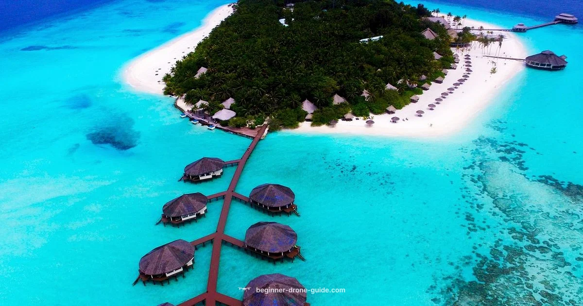 Camera Drone Essentials - Beginner Drone Guide