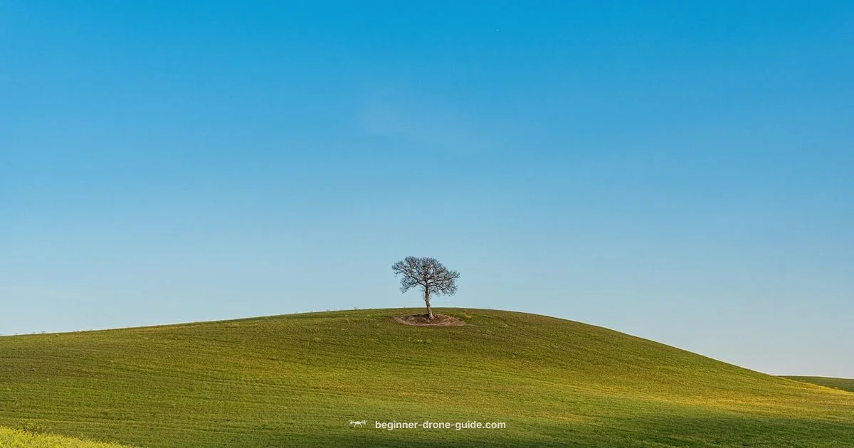 Drone vs Plane - Beginner Drone Guide