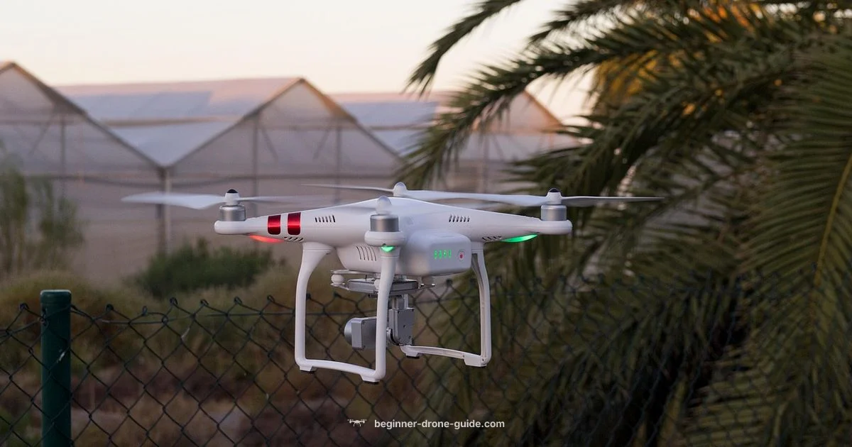 Drone Strikes Overview - Beginner Drone Guide