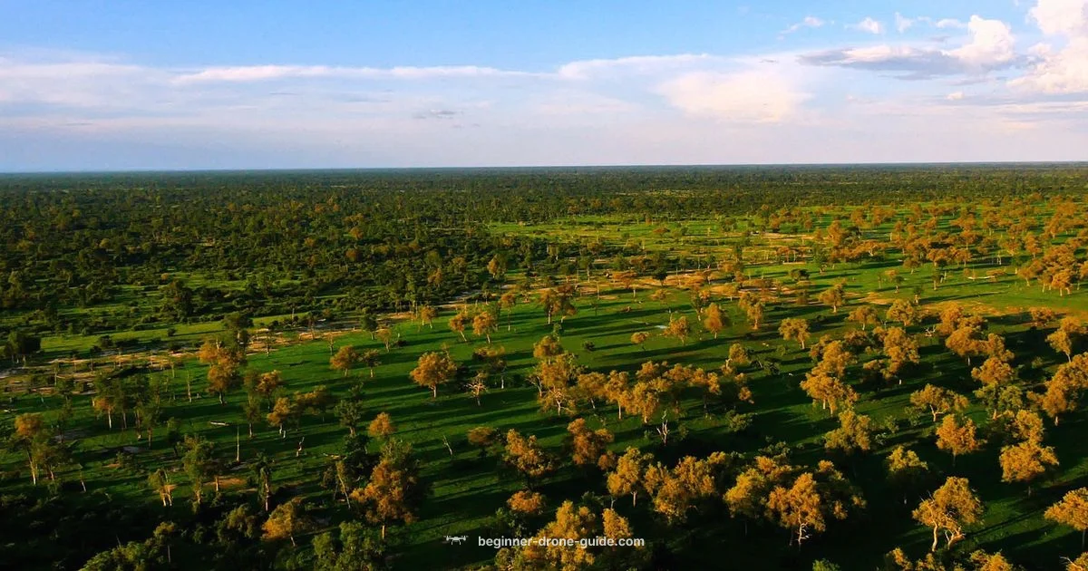 Drone Subscriptions - Beginner Drone Guide