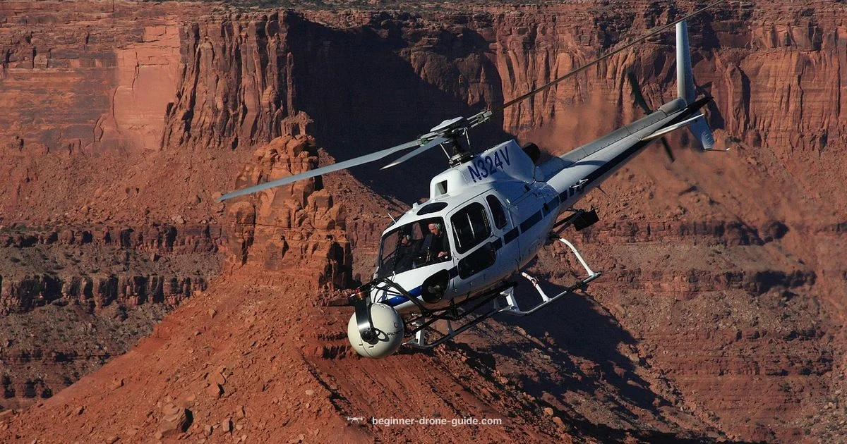 Drones in Parks - Beginner Drone Guide