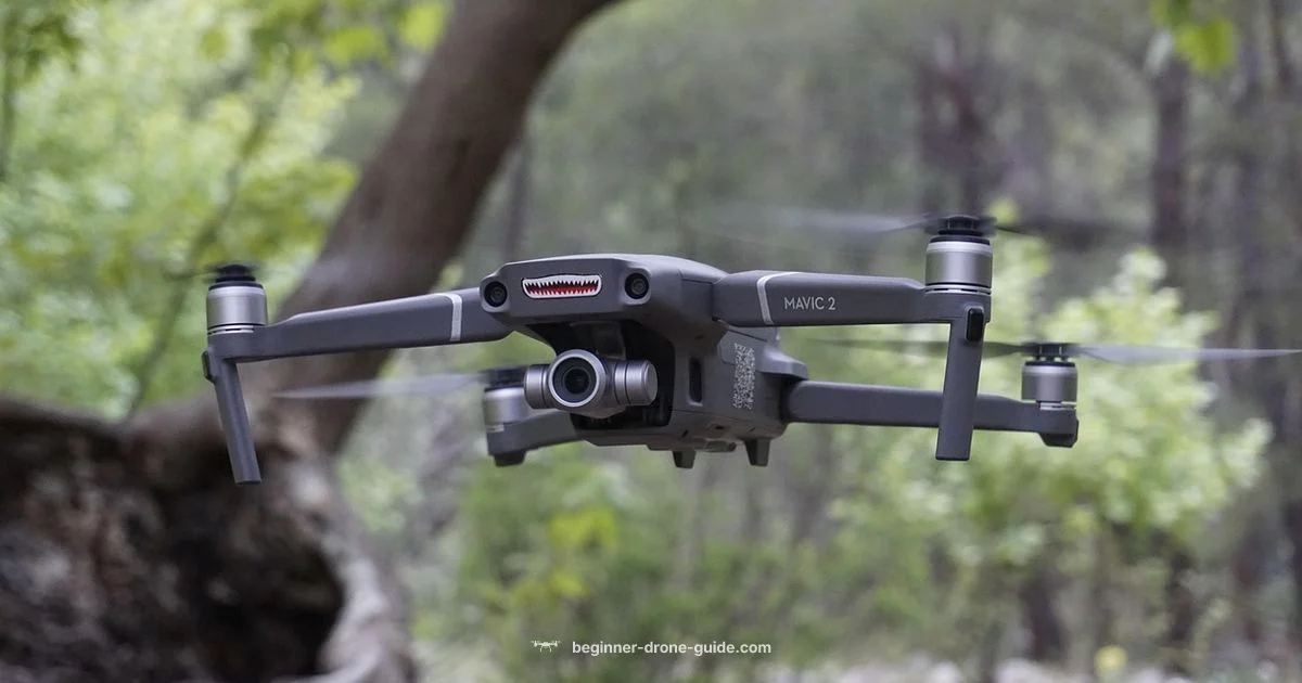 Stop Drones Safely - Beginner Drone Guide