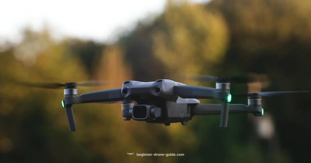 DJI FPV Goggles Review - Beginner Drone Guide